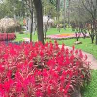 The Gardens of Panyu