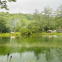 長野八千穗高原駒出池小木屋/露營區
