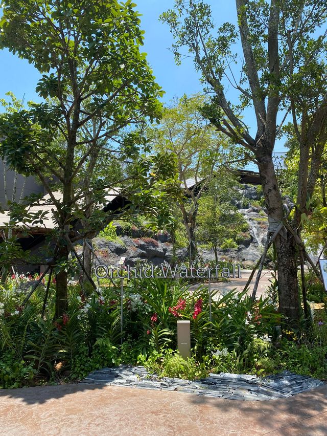 Awesome landscapes at revamped Bird Paradise!