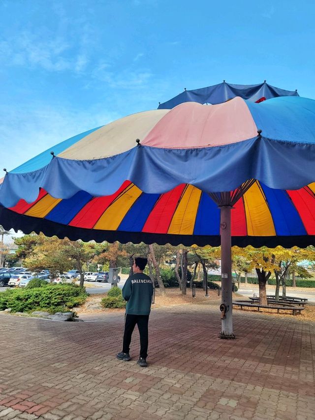 아직은 보내기 싫은 늦가을 즐기기🍁