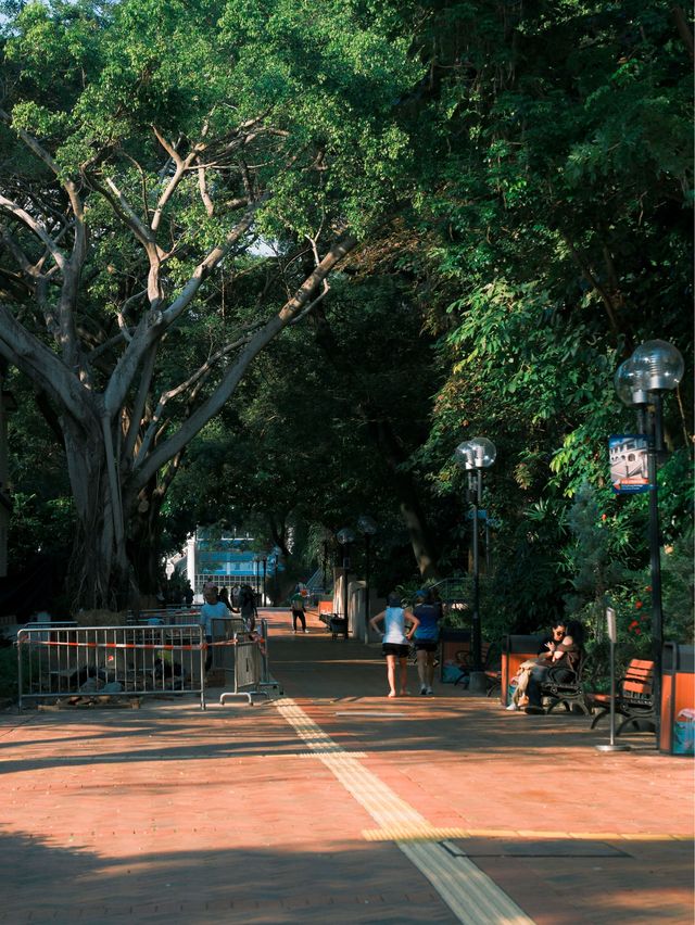 香港 ｜ 尖沙咀 鬧市裡的寶藏博物館