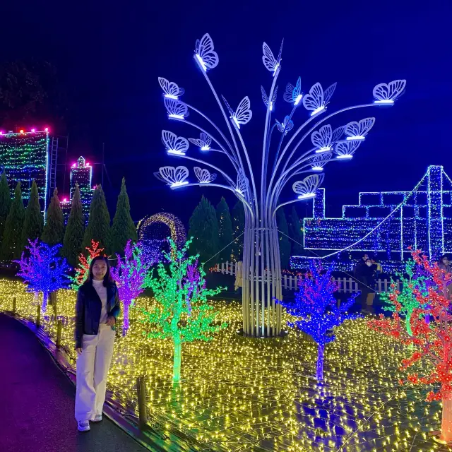 The Grand Illumination in Izu (7th Season) 