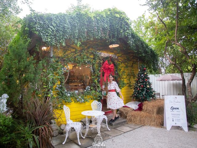 Christmas Time @ The Creeper House