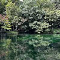 栃木佐野の魅力