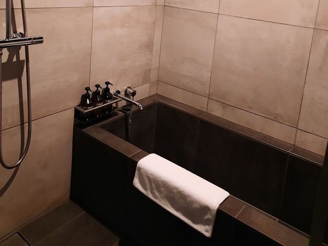 HOTEL CANATA KYOTO