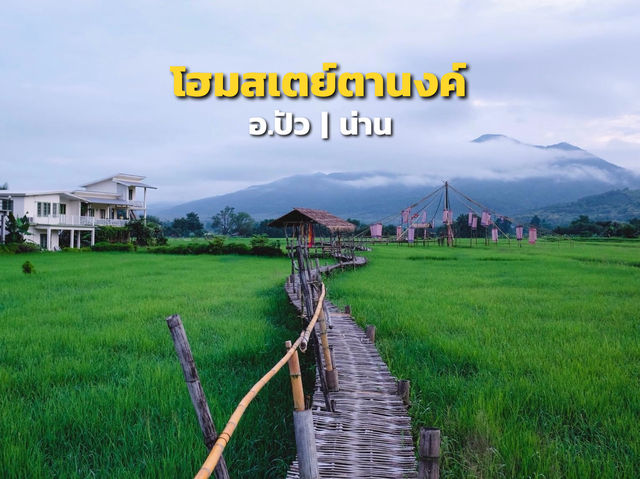 โฮมสเตย์ตานงค์ นอนชิลชมวิวภูเขา ที่ น่าน ⛰️