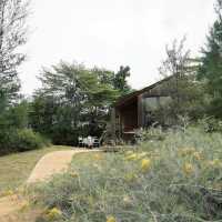  The Birder’s Lodge 