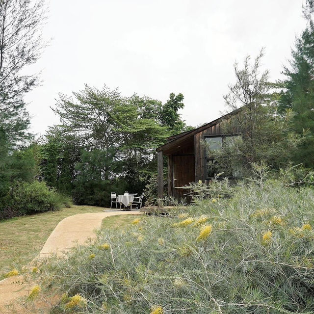  The Birder’s Lodge 