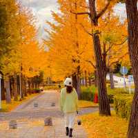 Do you like autumn? 🍁