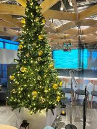 【福岡ホテル】和食が魅力的な一周年のホテル🎄