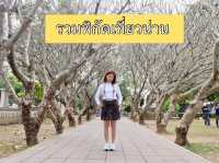 รวมพิกัดเที่ยวน่าน 