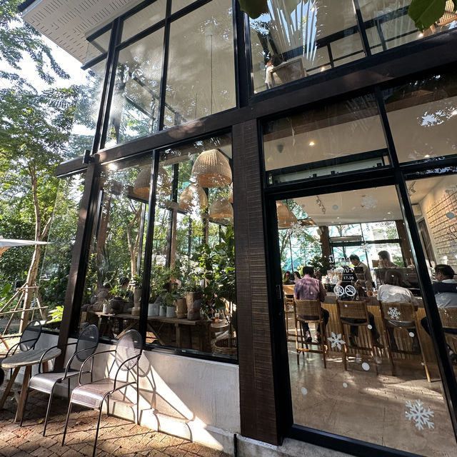 MiVana Coffee Flagship Store