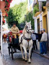 Andalusian Magic 🪄 