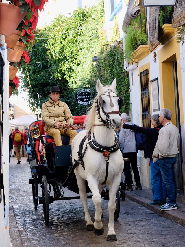 Andalusian Magic 🪄 