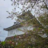 日本杵筑城下町的武士屋