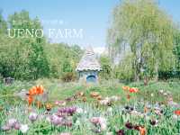 【北海道旭川】まるでジブリの世界？ドラマチックなガーデン🌱💐🌷上野ファーム