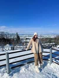 【北海道旅遊】旭山動物園企鵝仔巡遊，join day tour省心