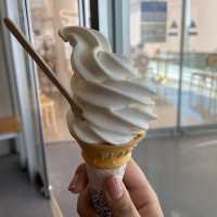 【ロケーション◎】秋田 男鹿 ホッキョクグマに会える！男鹿水族館GAO