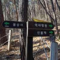 영남알프스 8봉 신불산 영축산 최단코스, 눈 산행