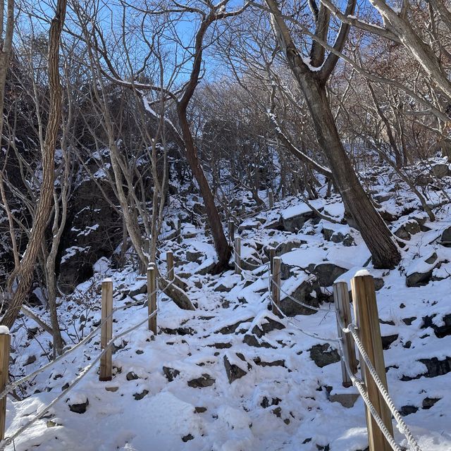 영남알프스 8봉 신불산 영축산 최단코스, 눈 산행