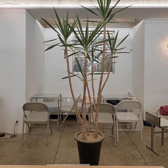 韓國必去的咖啡店，舒服休閒，推薦給大家！
