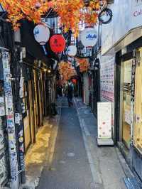 Omoide Yokocho