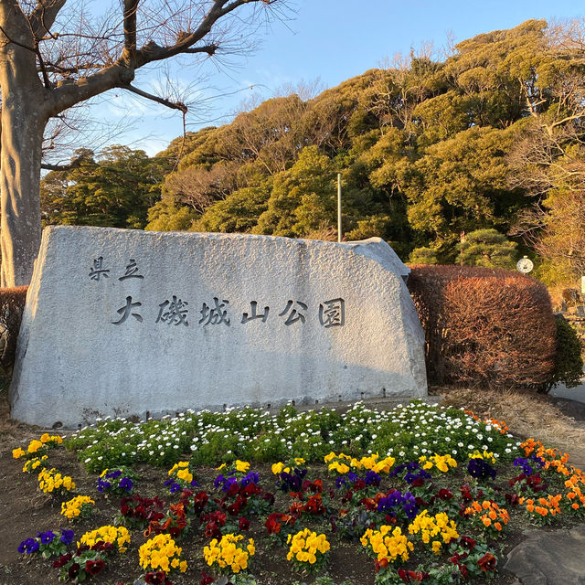 【神奈川】大磯城山公園