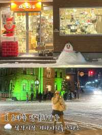 𝒮𝒶𝓅𝓅ℴ𝓇ℴ 🌨️ 오타루 당일치기 여행 ☃️ 추천 스팟 💓