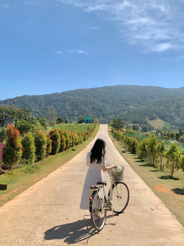 아직 알려지지 않은 베트남 달랏 현지 핫플 더 플로리스트 호아 트롱 렁 🌸