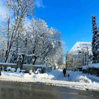 @ THE ENGLISH GARDEN, MUNICH.