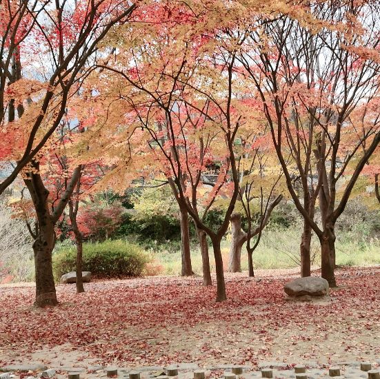 autumn sky in Gangwon-do