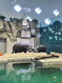 美術館…？いえ歴とした水族館です