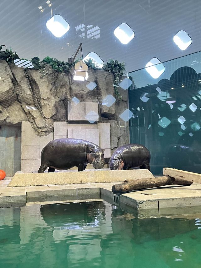 美術館…？いえ歴とした水族館です