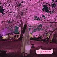 【桜攻略🌸】今年も実施‼️NAKEDの桜イベントまとめ