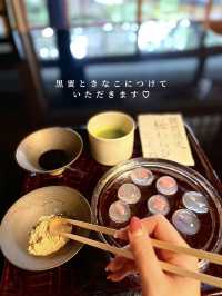【京都】国の登録有形文化財でいただく美しすぎる"花わらび餅"