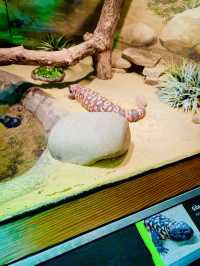 Central Park zoo