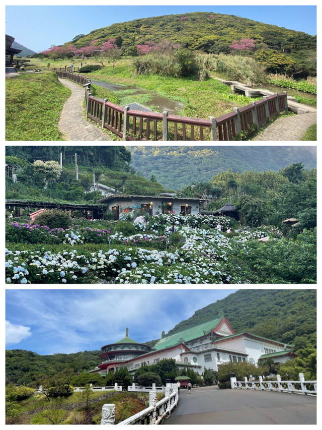 【臺北景點】陽明山國家公園：花季賞花，適合春季遠足休閒