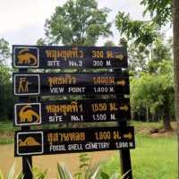 อุทยานเเห่งชาติภูเวียง