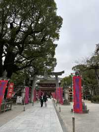 梅が綺麗に咲く福岡の太宰府天満宮