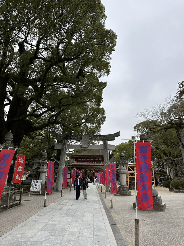 梅が綺麗に咲く福岡の太宰府天満宮