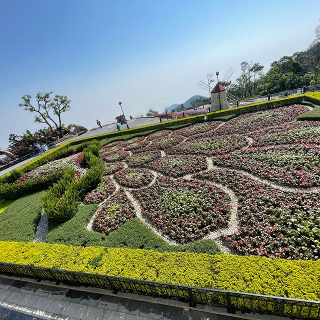 Bana Hill: A Journey Beyond Expectations