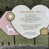 「斑比山丘」觀光農場：$200門票，感受自然和平共處。適合平日遊玩