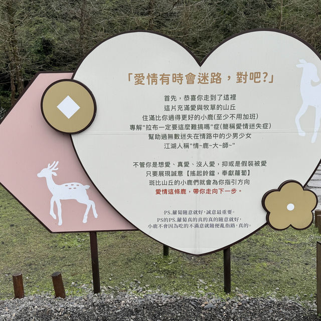 「斑比山丘」觀光農場：$200門票，感受自然和平共處。適合平日遊玩