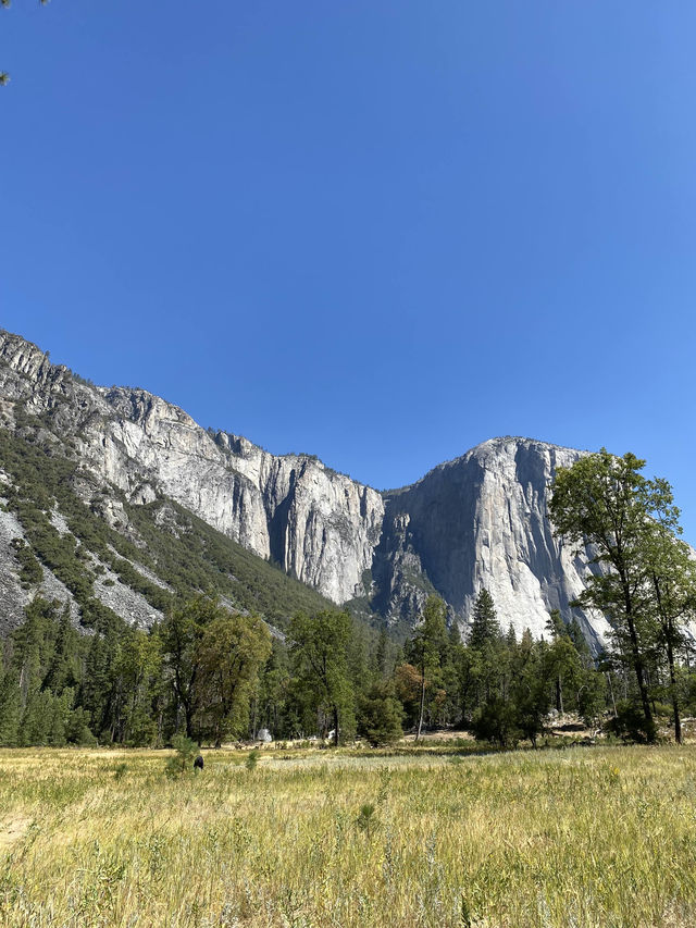 ดื่มด่ำธรรมชาติที่ Yosemite National Park ⛰️