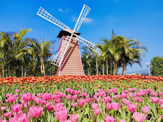 Zhongshe flower market 