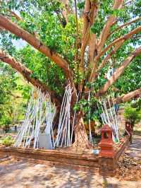 Wat Jed Yot, Phra Aram Luang