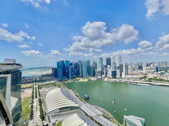 SkyPark Observation Deck