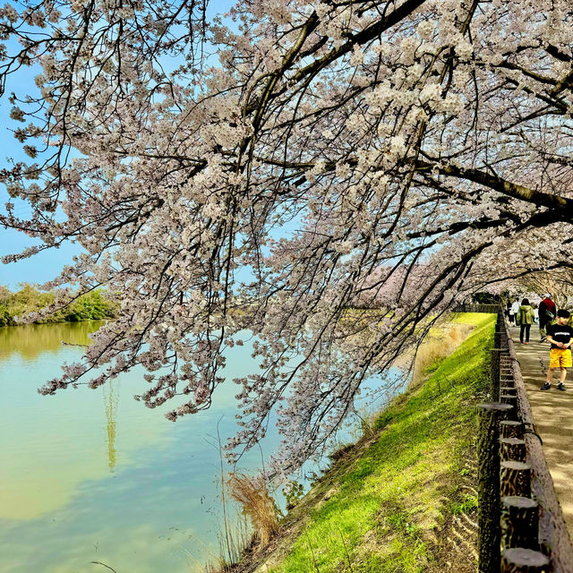 石垣池公園