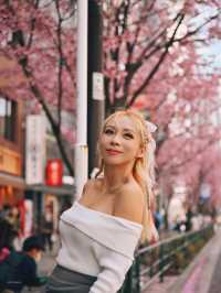 Cherry Blossom in Shibuya Tokyo 🌸🇯🇵