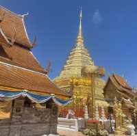 เชียงใหม่